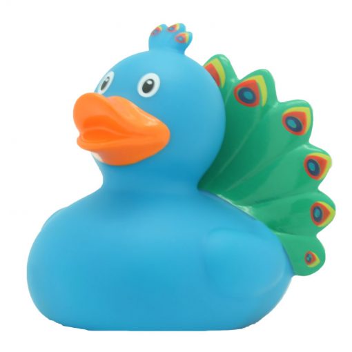 Peacock rubber duck Amsterdam Duck Store