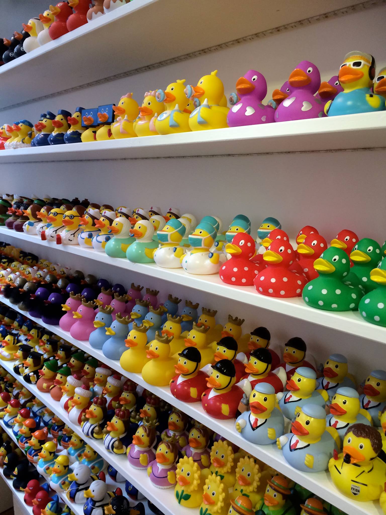 Rubber ducks shop