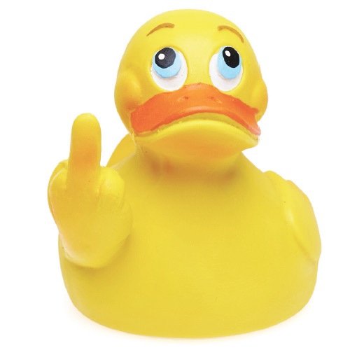 cool rubber ducks