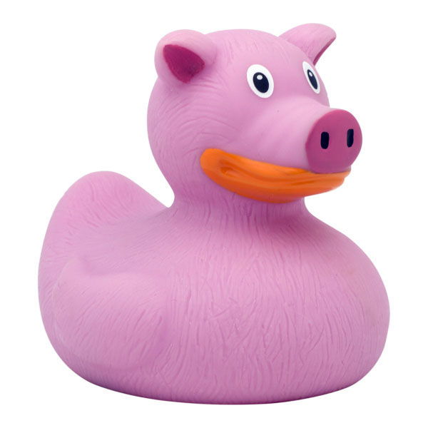 pig rubber duck