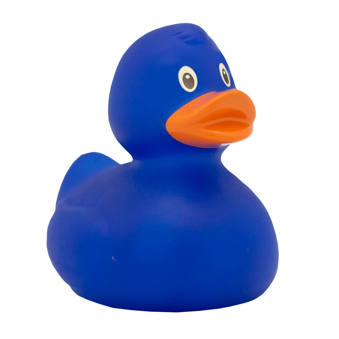 blue rubber duck