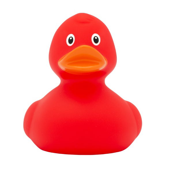 colored rubber ducks